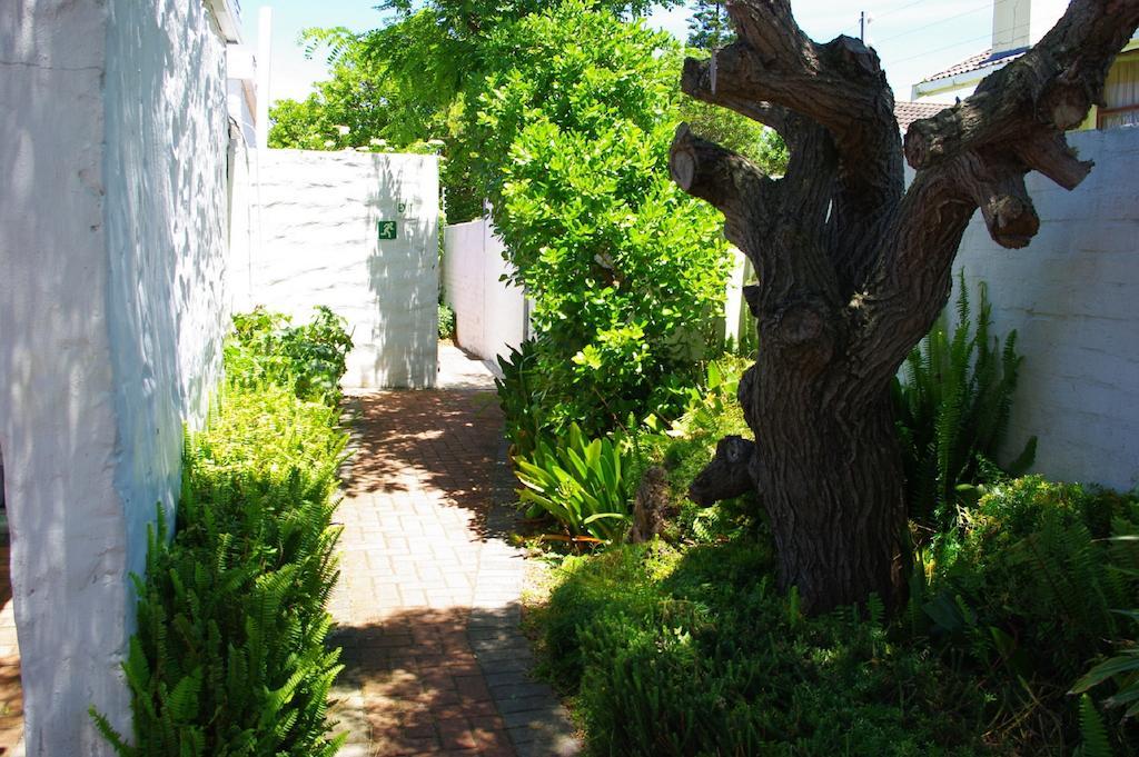 Aqua Marine Guest House Port Elizabeth Buitenkant foto