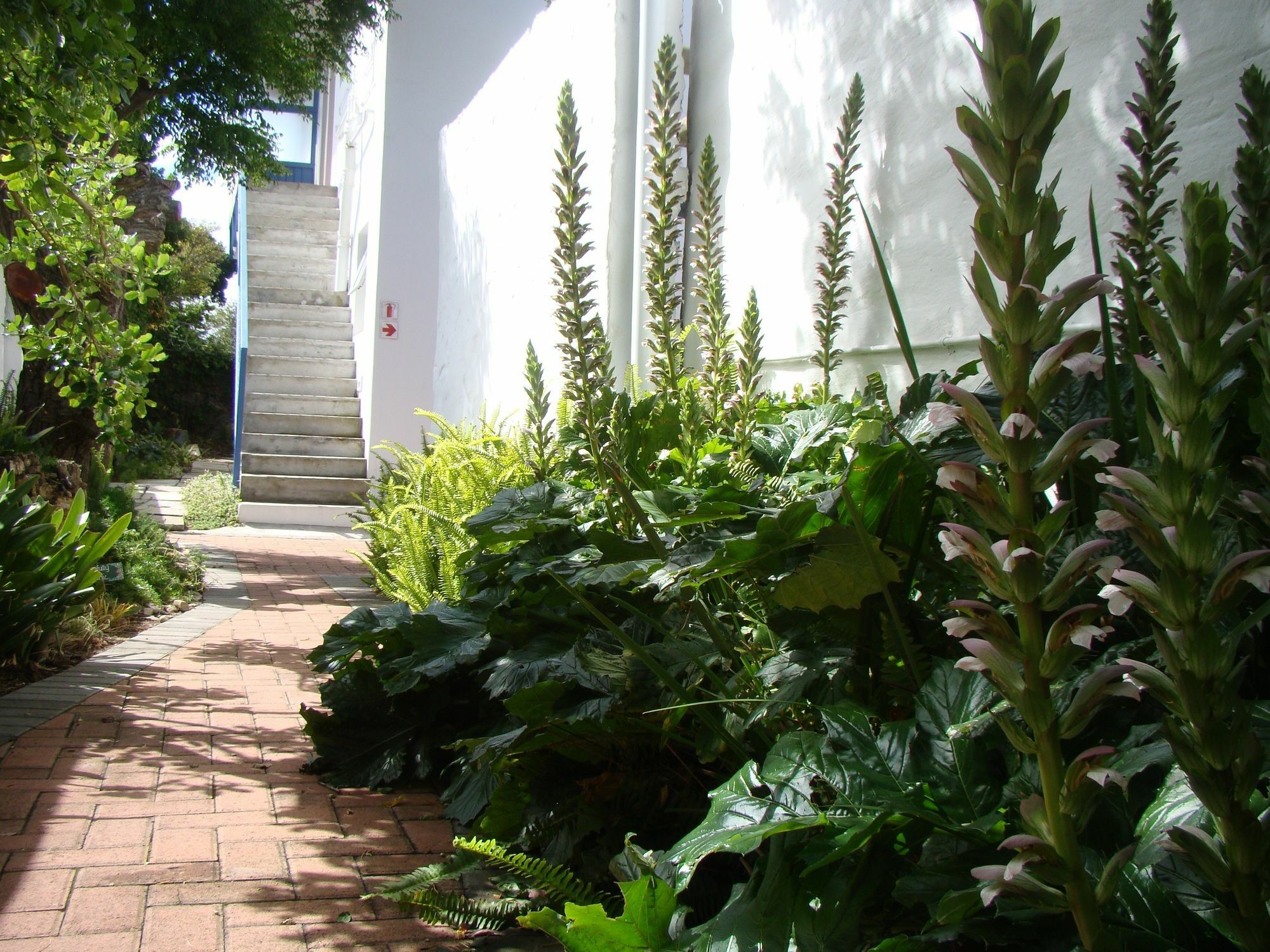 Aqua Marine Guest House Port Elizabeth Buitenkant foto